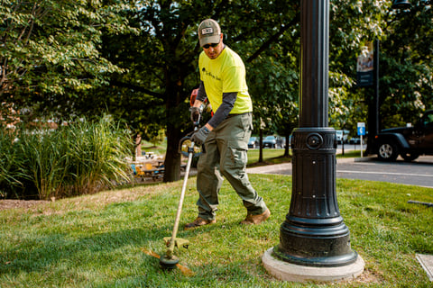 Commercial Landscaping Crew Maintenance Weedwhip Trimmer Lawn Care