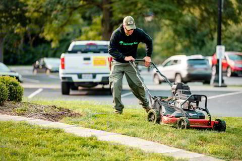 Commercial Landscaping Crew Push Mower Lawn Care Parking Lot Maintenance 3