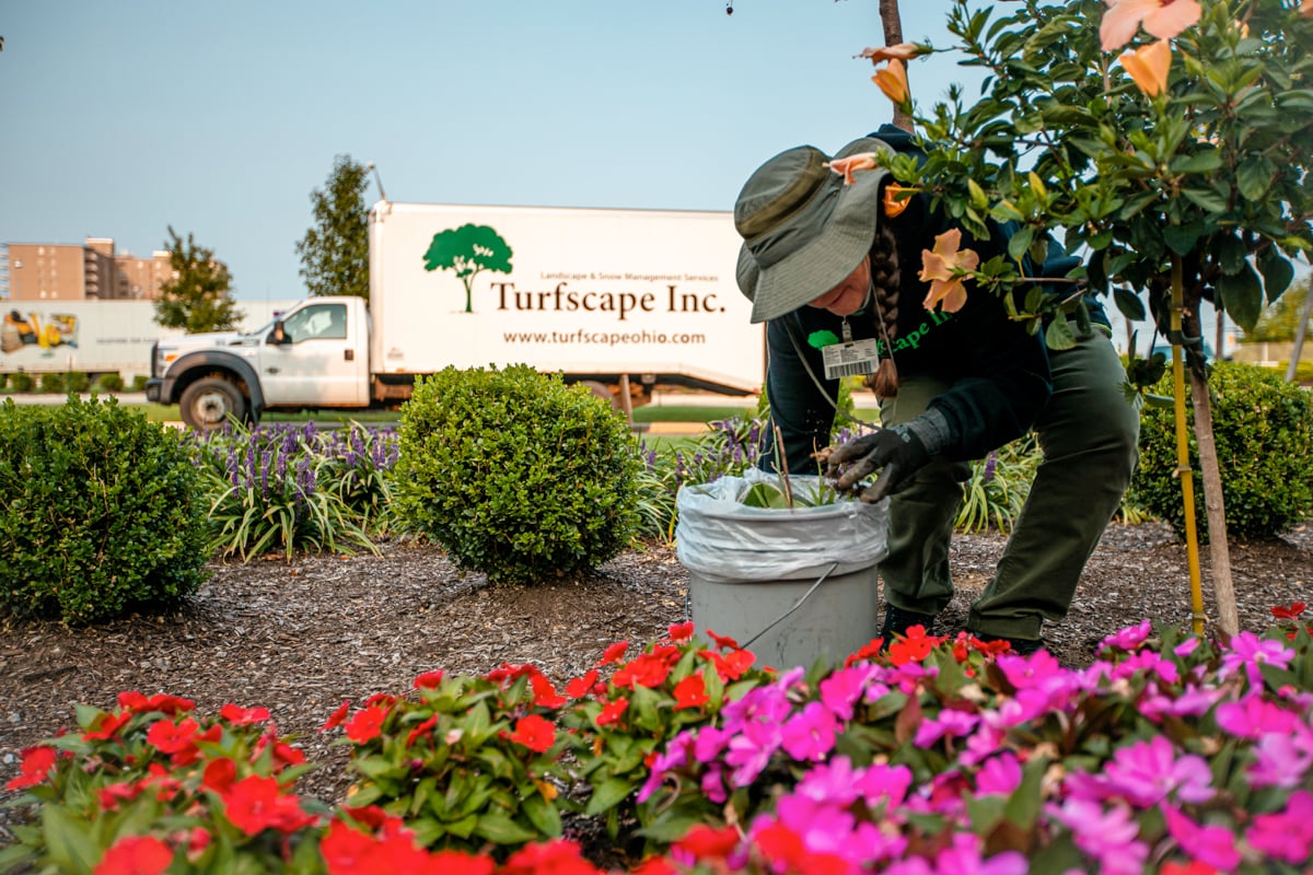 hospital flower bed being cleaned up by crew 