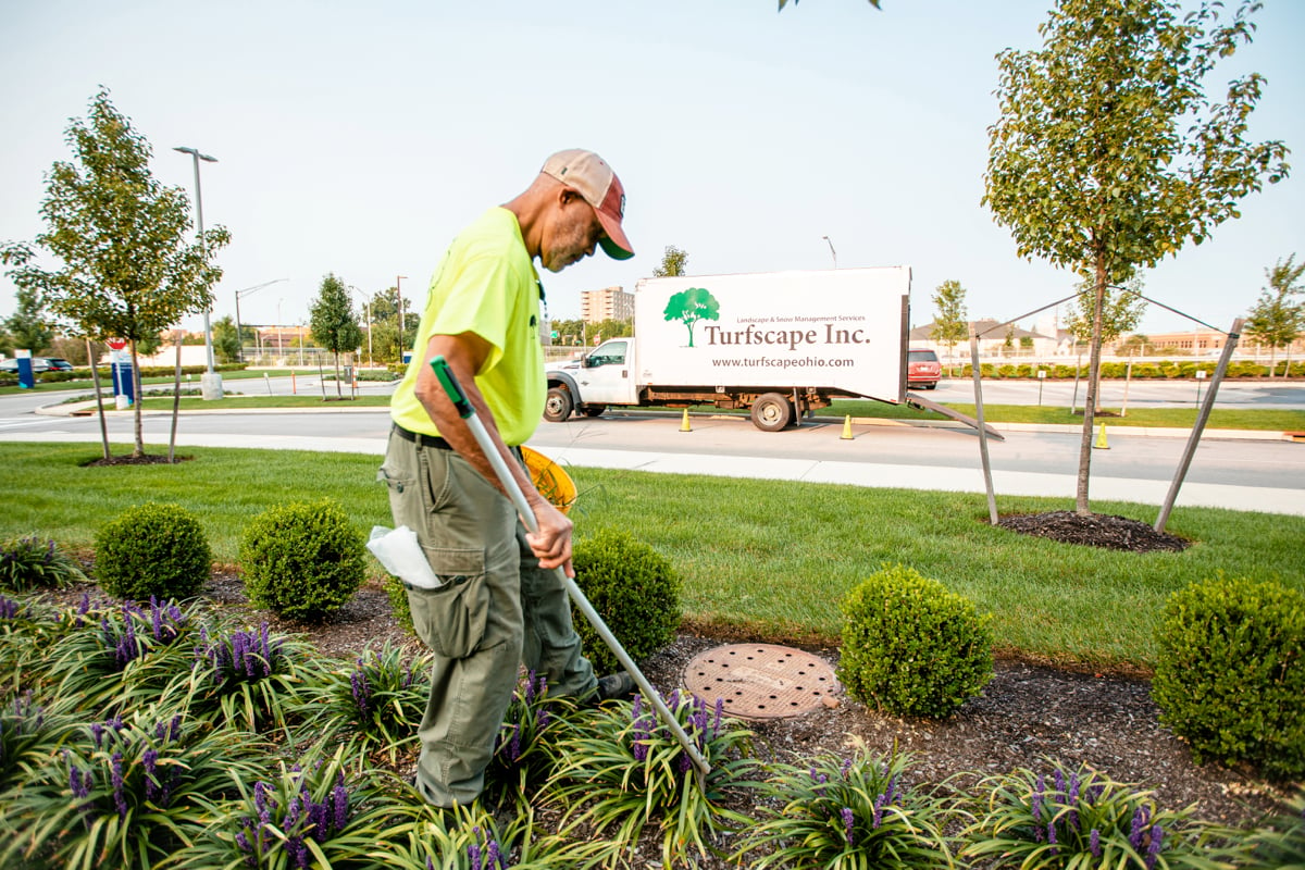 commercial landscaping company picks up debris in landscape bed