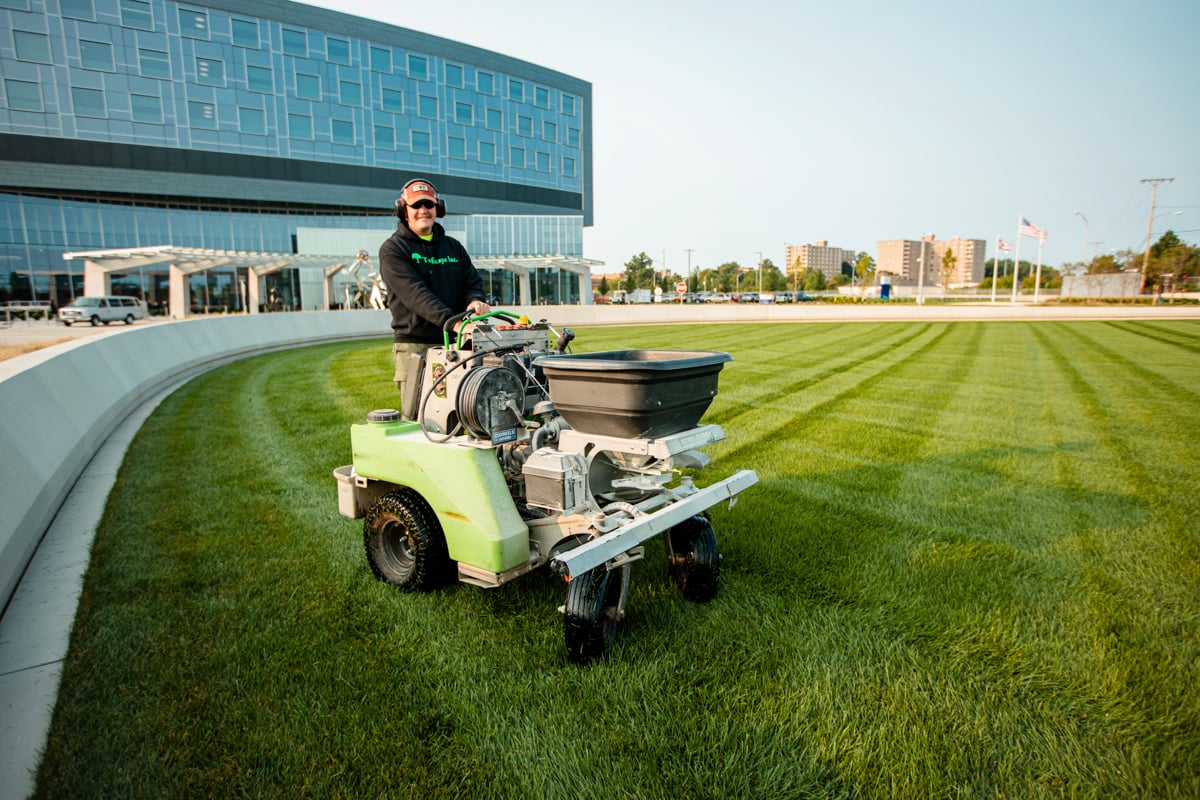 lawn care team fertilizes grass