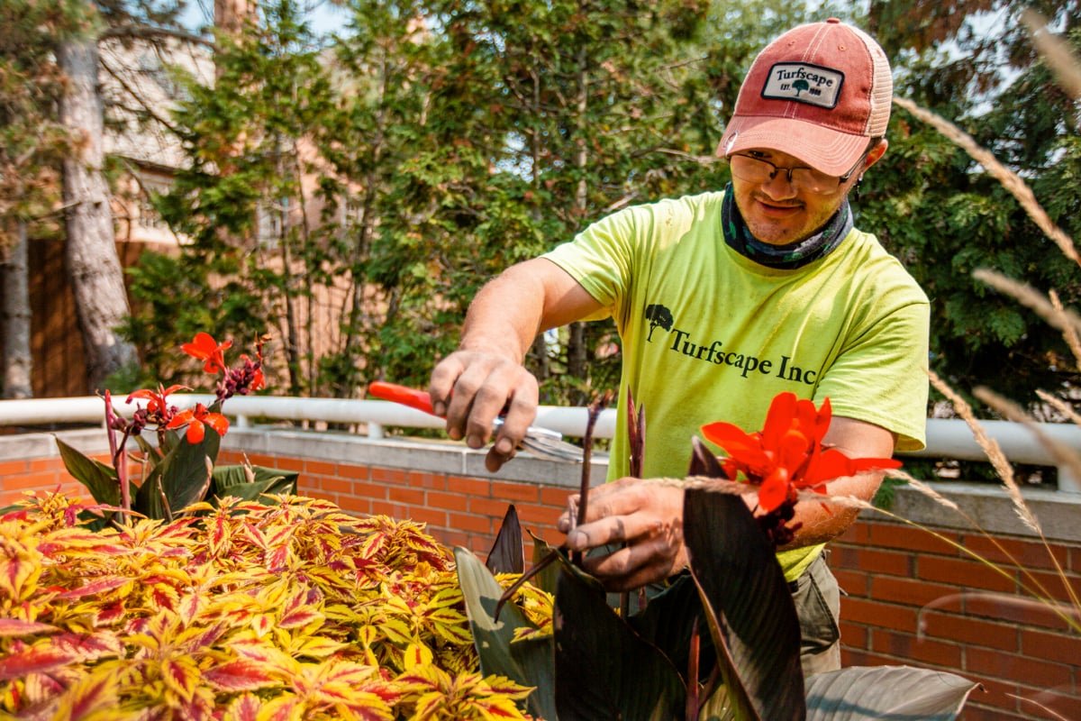 landscape crew prunes plants at john carroll university