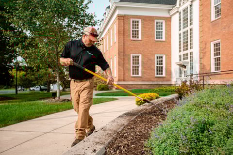 Commercial Landscaping Planting Crew Mulch Mums Walkway