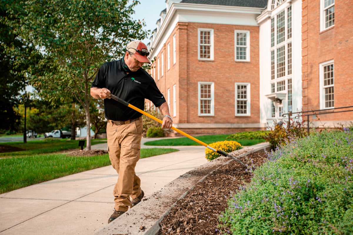 landscape professional rakes mulch in landscape bed