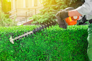 Commercial Landscaping Services for Spring - Planting