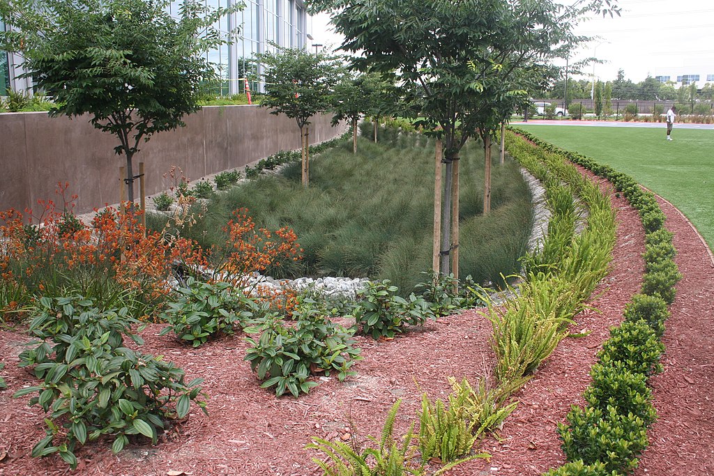 Bioswale at commercial property