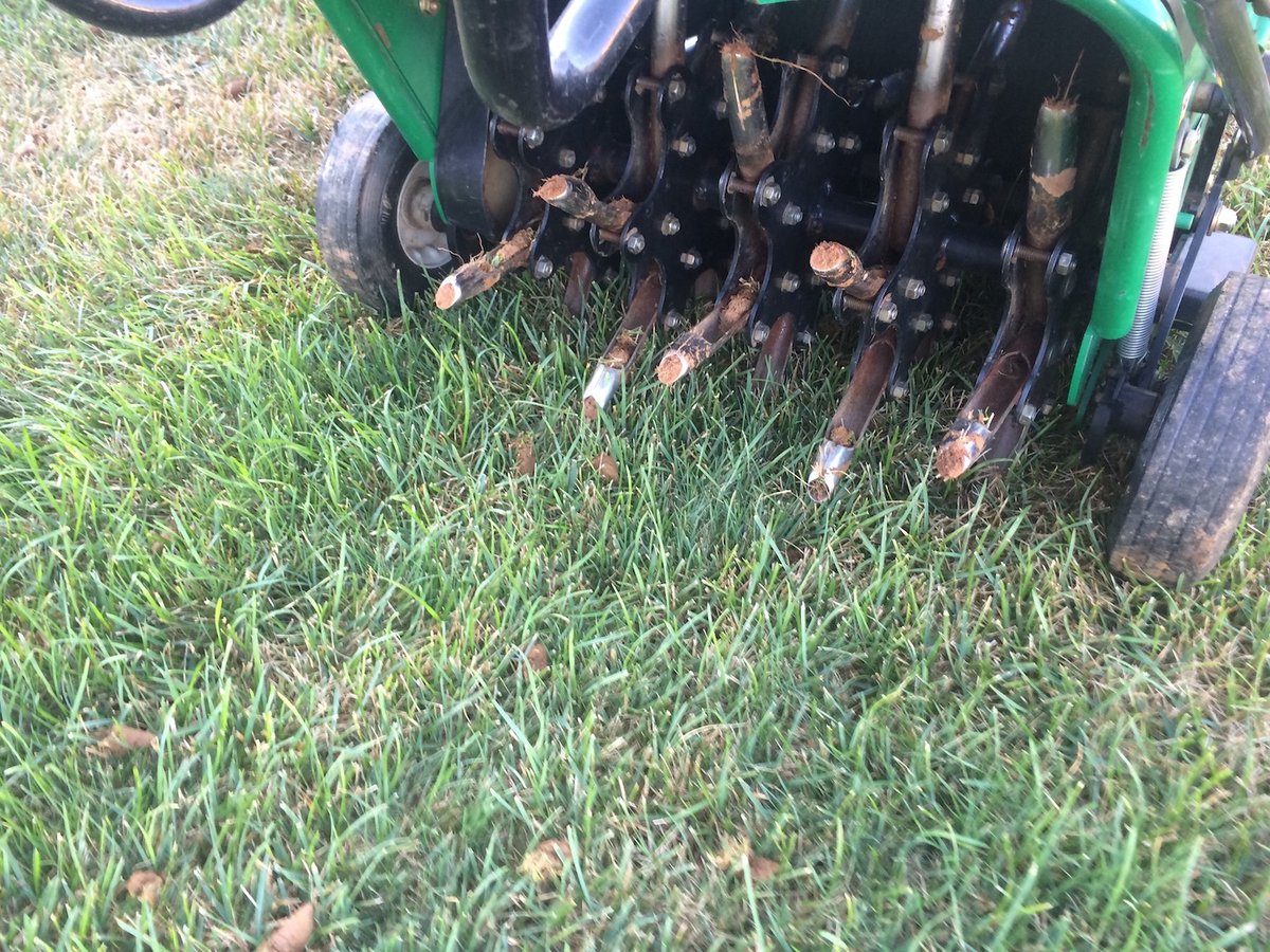 core aeration on lawn