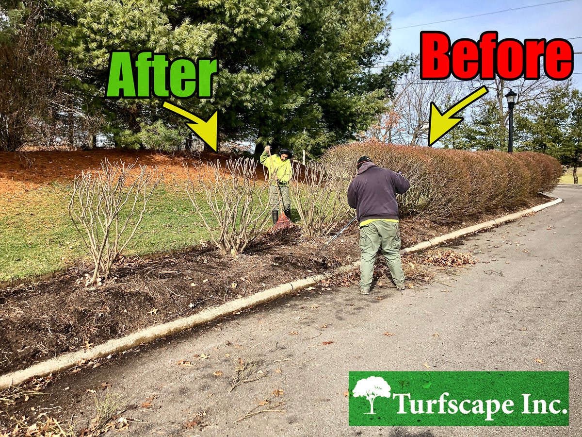 Dormant Pruning Before and After 