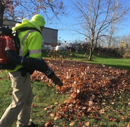 blowing fallen leaves off grass