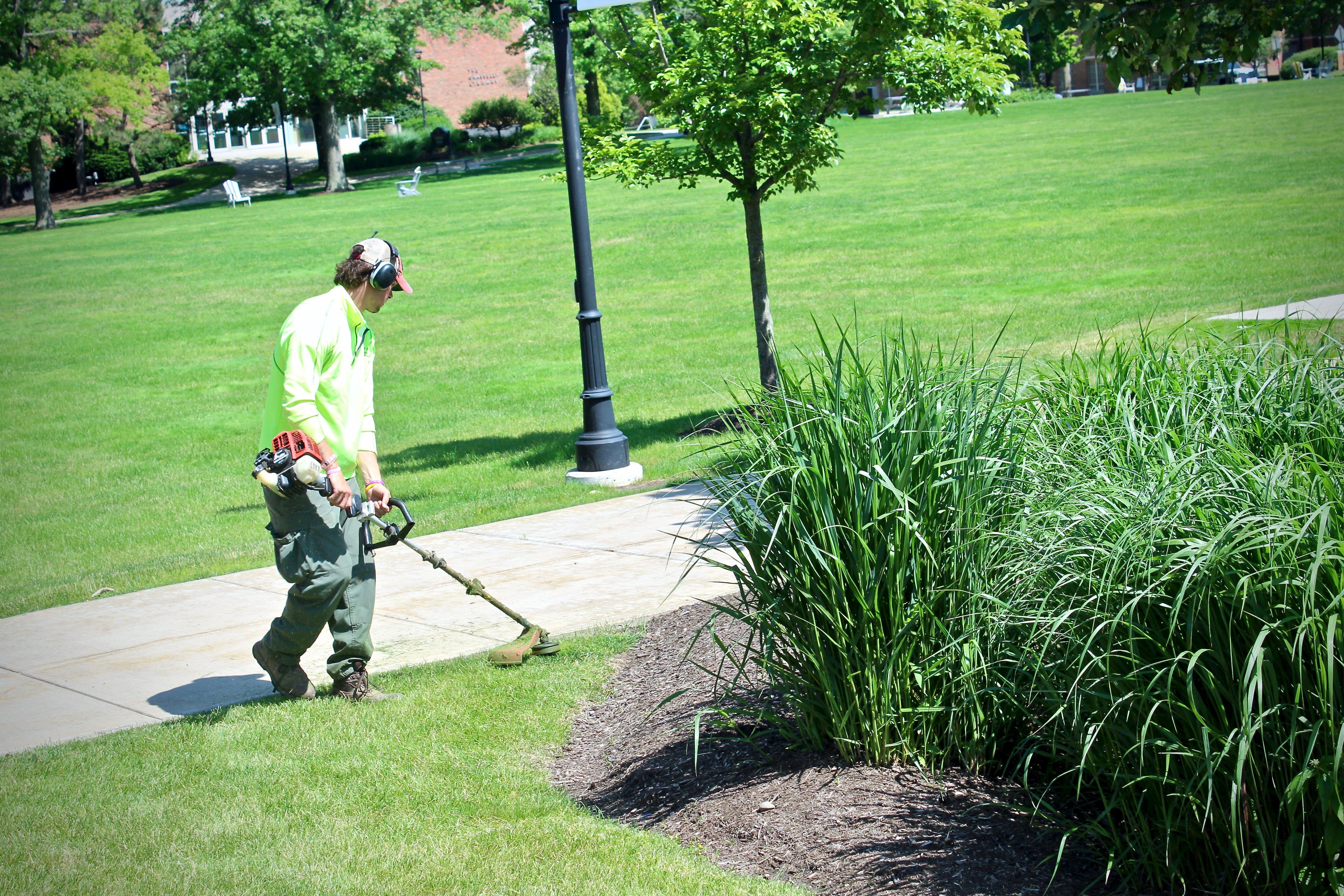 college lawn maintenance service