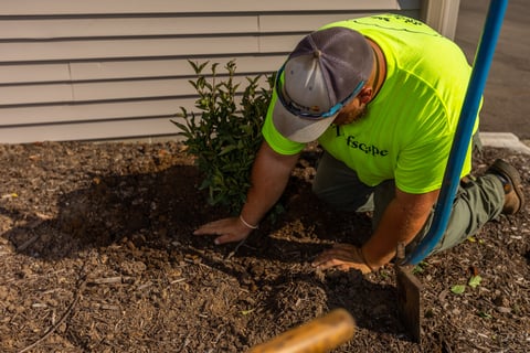 Abbey Glen hoa crew planting 1