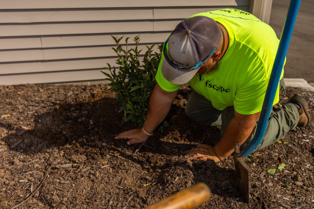 turfscape team planting in landscape bed