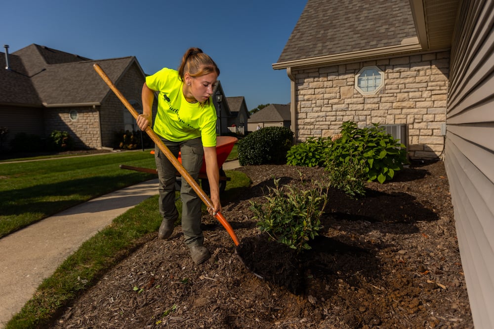 planting shrubs on side of building 