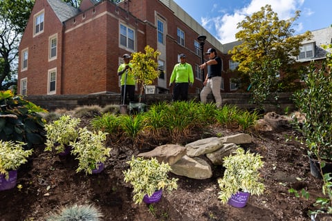Acccount manager site enhancment planting crew 3