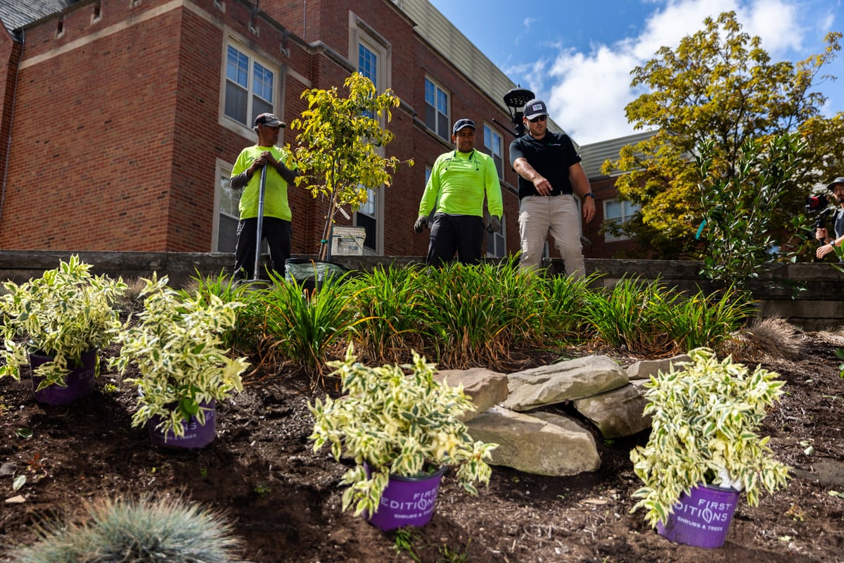 crew planting shrubs on commercial property