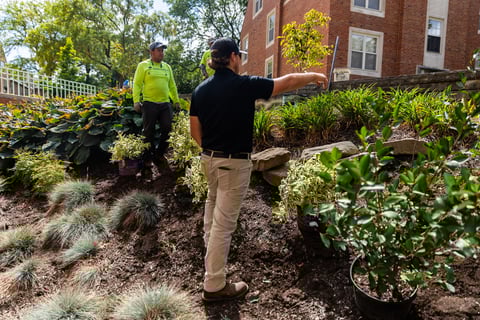 Account manager site enhancement planting crew