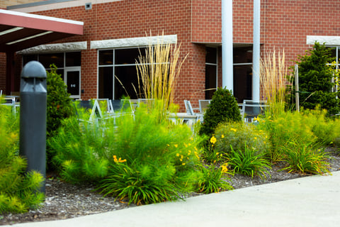 Commercial landscape beds along sidewalk 