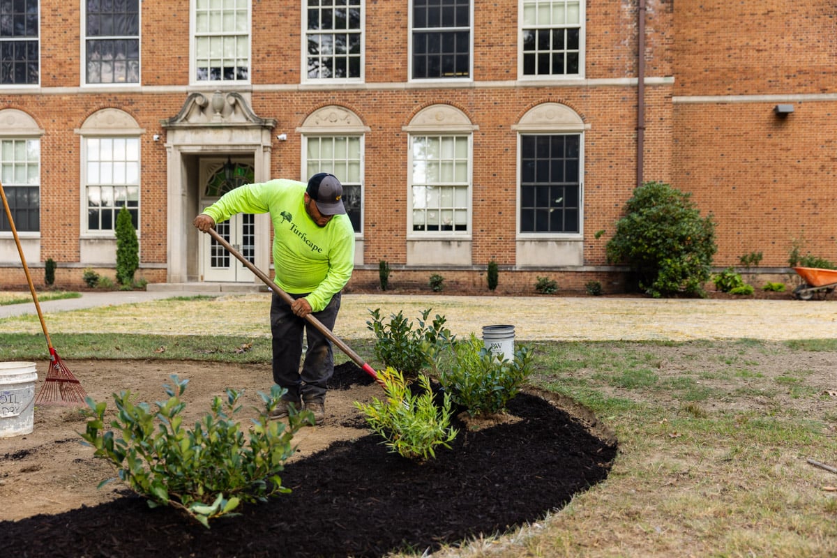 Commercial landscaping shaker school case study crew mulching 2