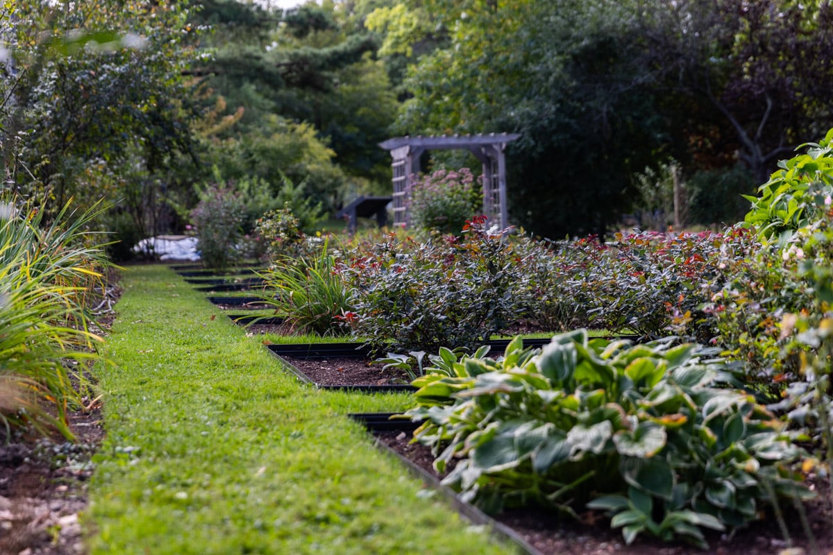 Commercial landscaping shaker school case study gardens pathways 1