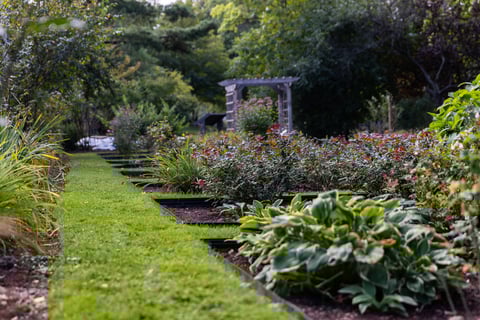 Commercial landscaping shaker school case study gardens pathways 1
