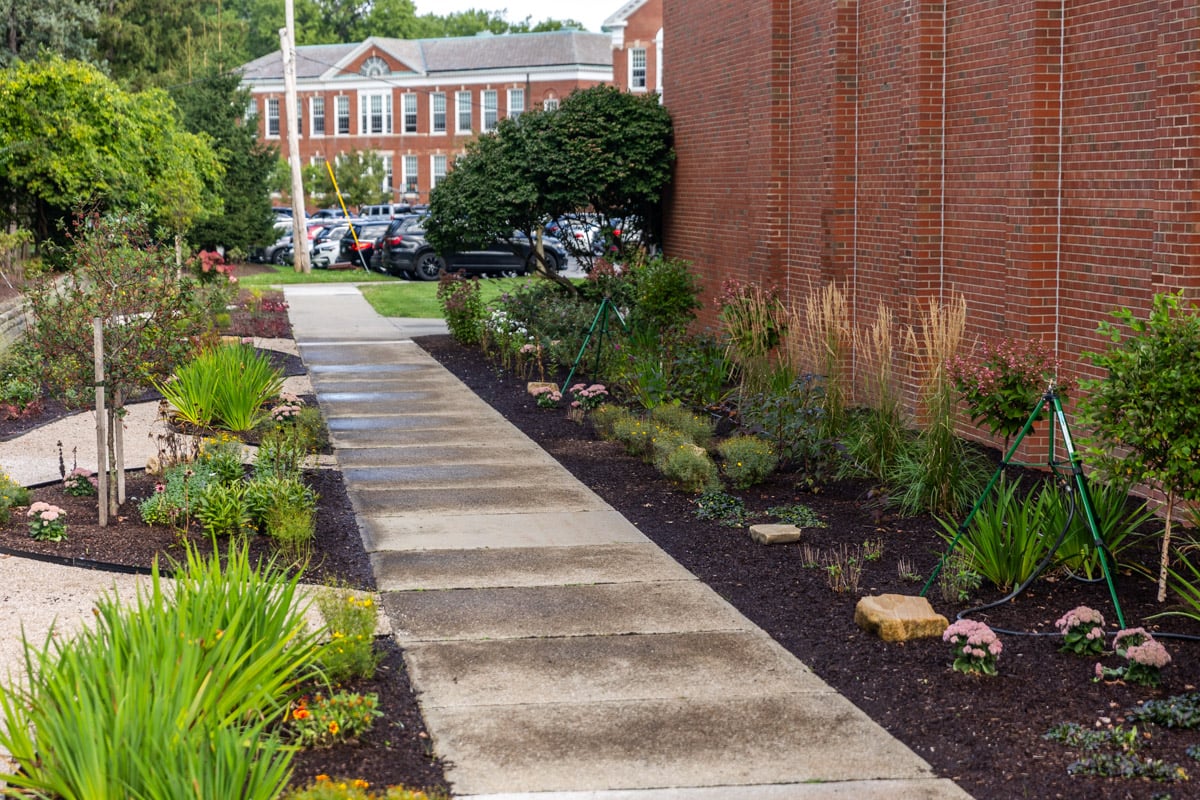 Commercial landscaping shaker school case study gardens pathways 3