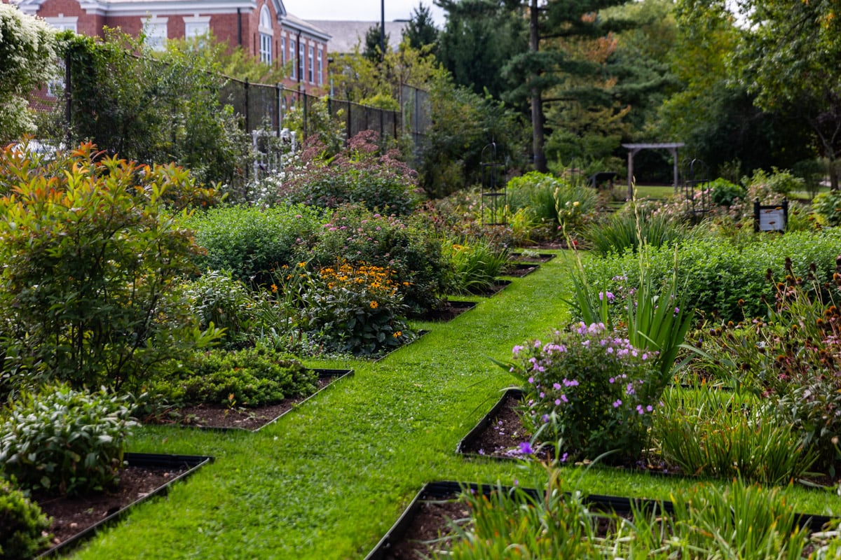 Commercial landscaping shaker school case study gardens pathways 7