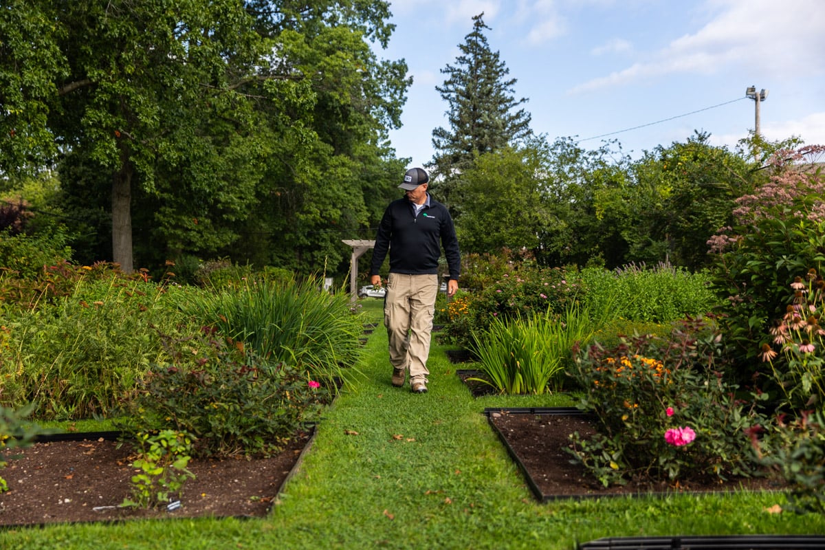 Commercial landscaping shaker school case study gardens pathways Account manager 1