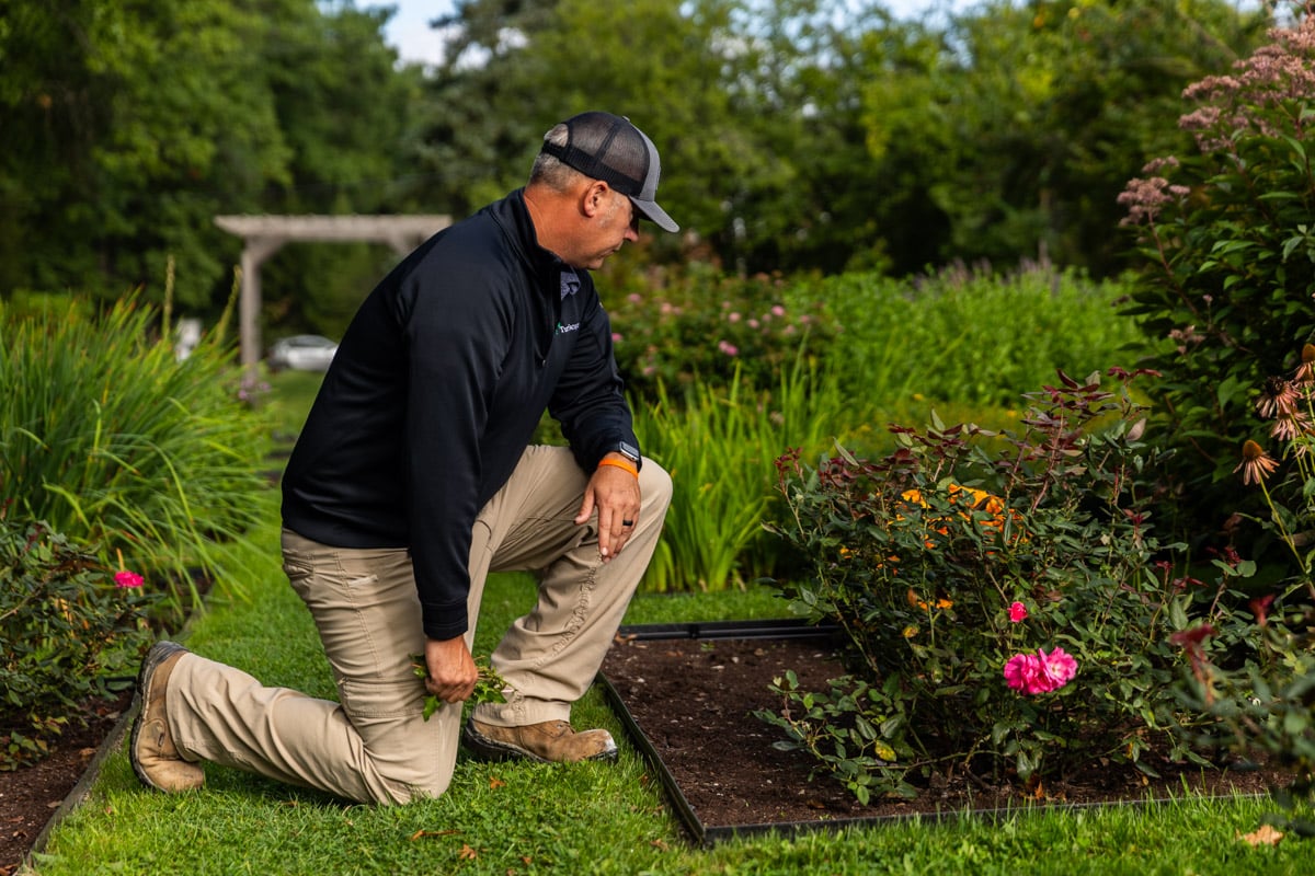 Commercial landscaping shaker school case study gardens pathways account manager 3