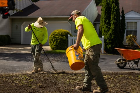 Crew Lawn Seeding Yard