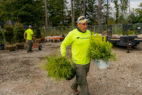 Crew carrying plants