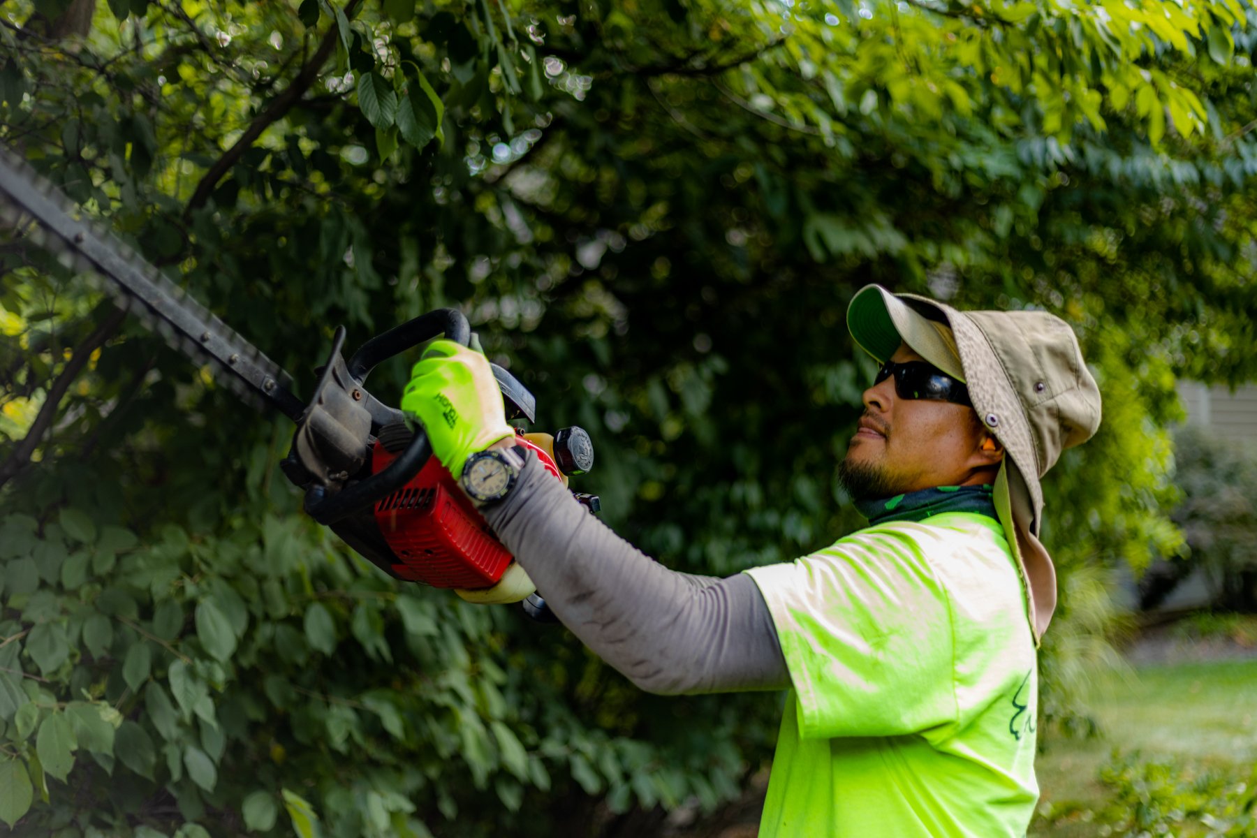 Crew trimming hedges