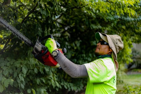 Crew hedge trimmer
