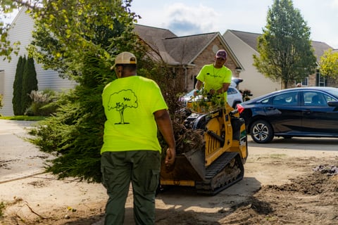 Crew moving tree with loader