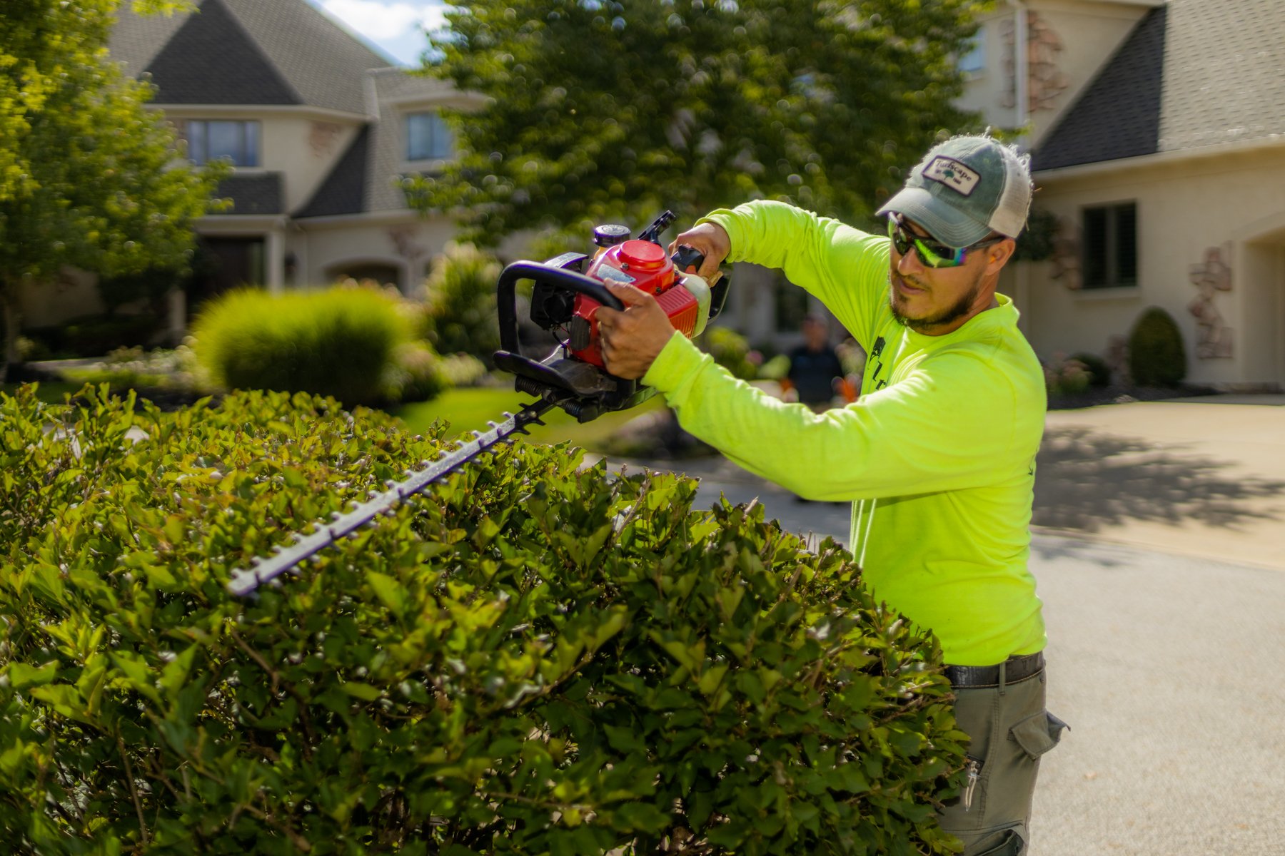 Crew neatly trimming shrubs