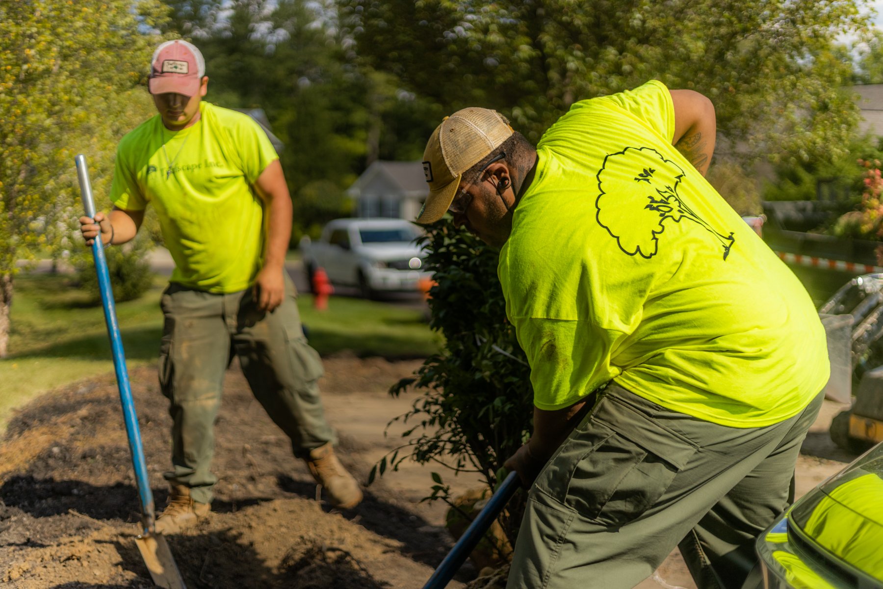 Crew removing tree