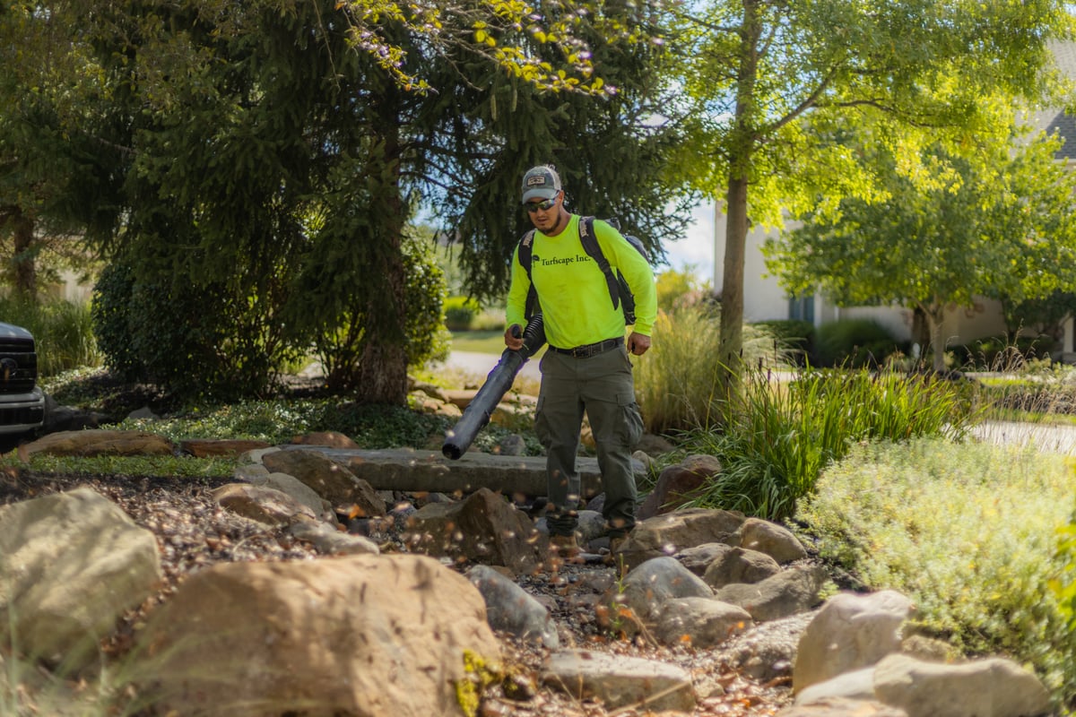 landscape maintenance team blows leaves on property