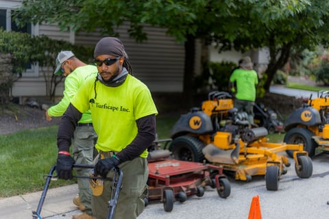 Crew with a bunch of mowers
