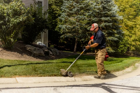 Edging HOA