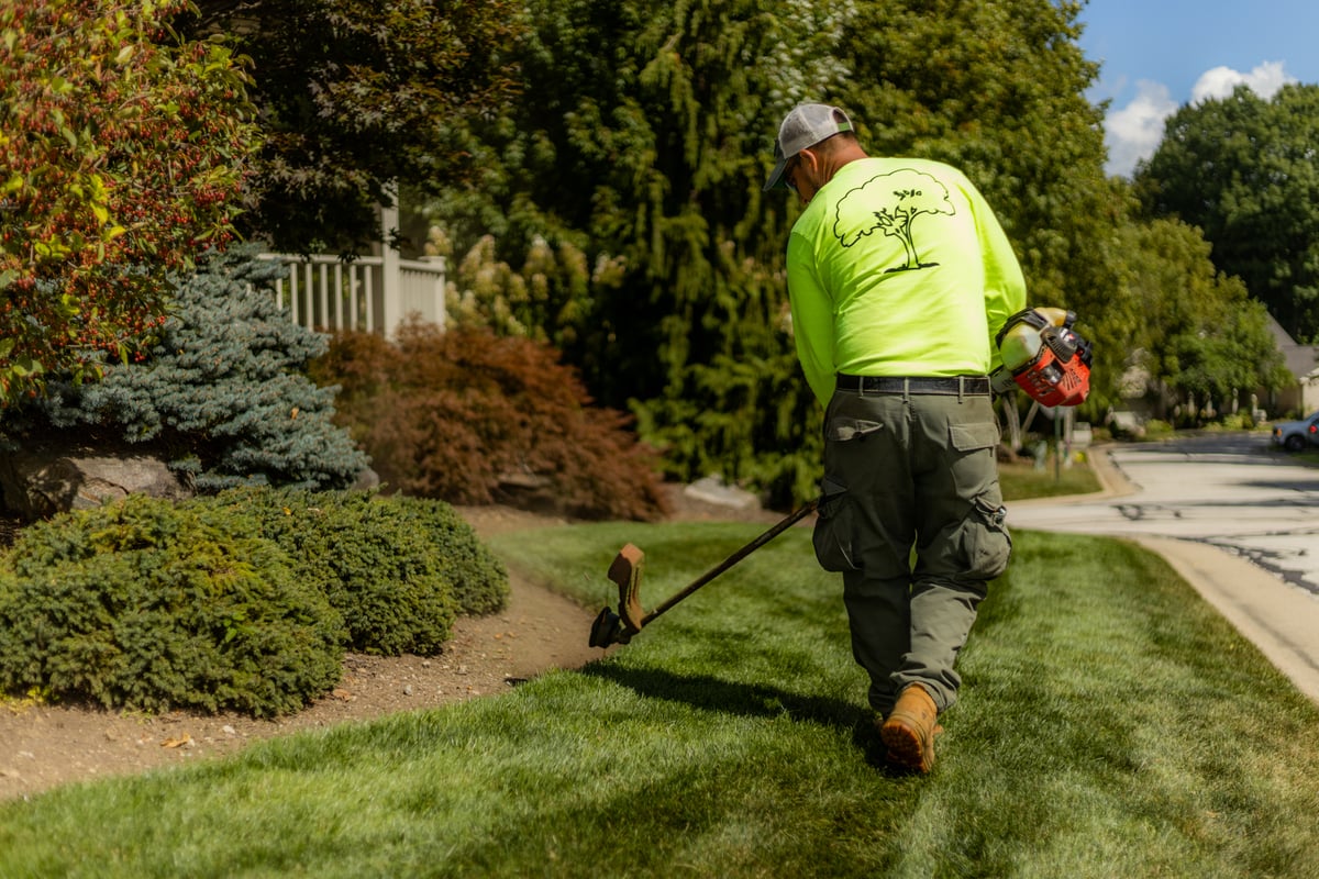 Edging flower bed HOA