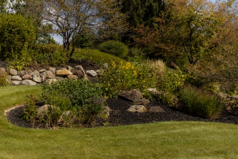HOA flower bed with grass