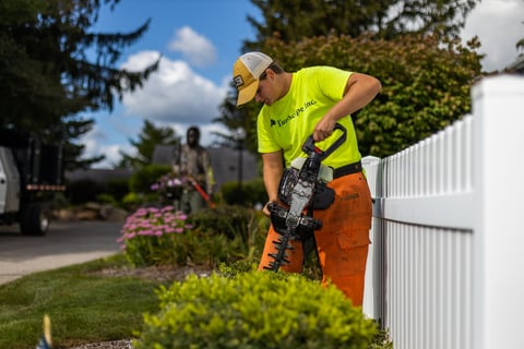 Hedge trimming near fence