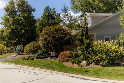 Home side yard landscaping