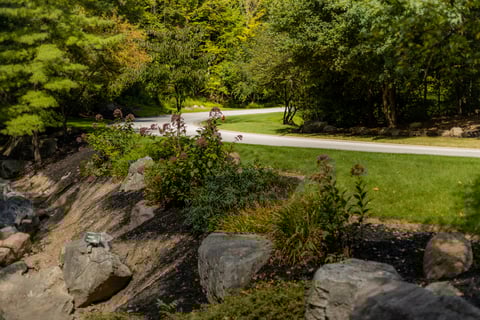 Landscape along road with rocks