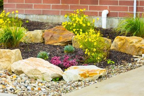 Landscape bed with large rocks and perrenial 