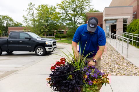 crew dead heading container garden 2