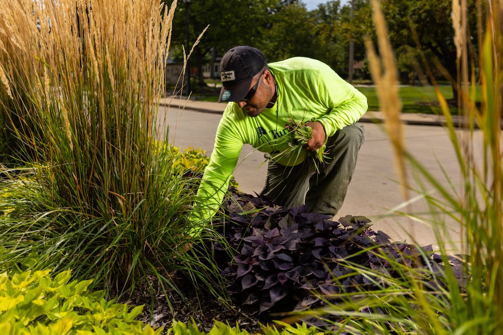 crew dead heading plants 1