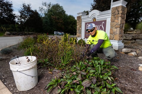 crossings at northwest plant bed pruning
