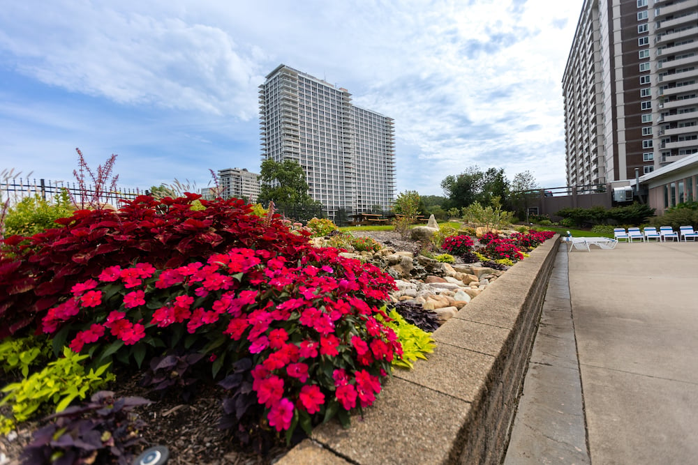 flower beds 2