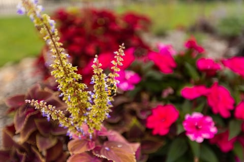 flower beds 5