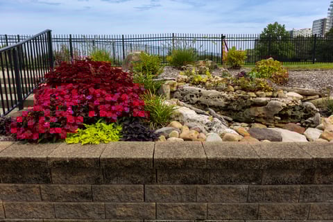 flower beds near water lake